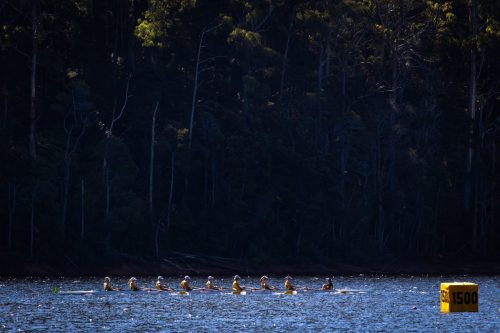 barrington-01022025 54304079195 o