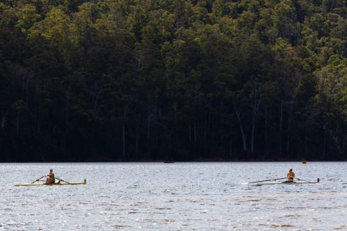 barrington 08092025-4606 54376867548 o