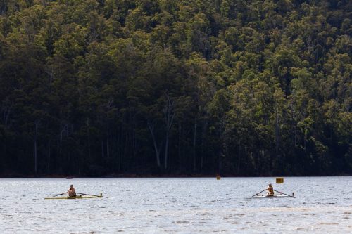 barrington 08092025-4607 54376631781 o