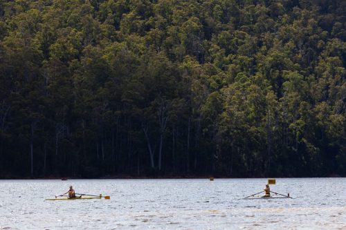 barrington 08092025-4608 54376631751 o