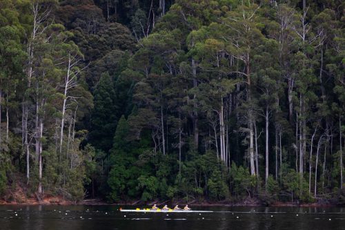 barrington 08092025-6509 54376833499 o