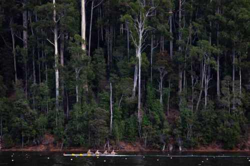 barrington 08092025-6511 54376630471 o