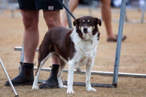 barrington 08092025-6673 54377045310 o