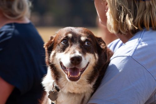 barrington 08092025-6934 54377043710 o