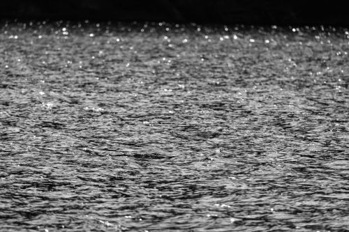 barrington 08092025-6985 54376853779 o